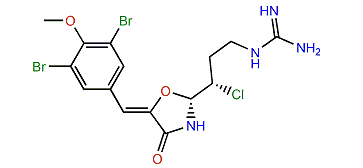 Synoxazolidinone A